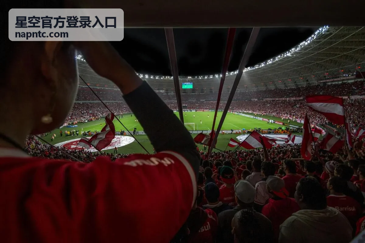 星空官方登录入口账号安全支持与验证提醒界面