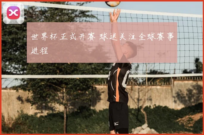 世界杯正式开赛 球迷关注全球赛事进程