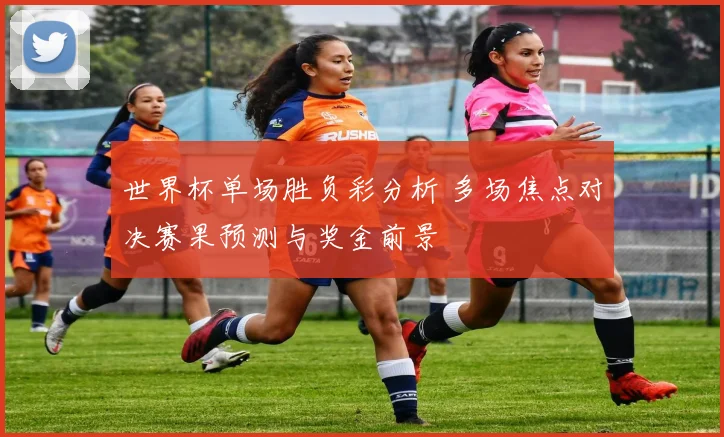 世界杯单场胜负彩分析 多场焦点对决赛果预测与奖金前景