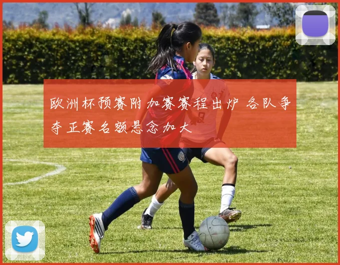 欧洲杯预赛附加赛赛程出炉 各队争夺正赛名额悬念加大