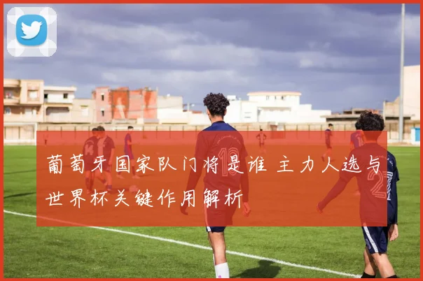 葡萄牙国家队门将是谁 主力人选与世界杯关键作用解析