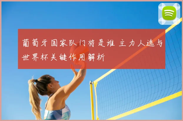 葡萄牙国家队门将是谁 主力人选与世界杯关键作用解析