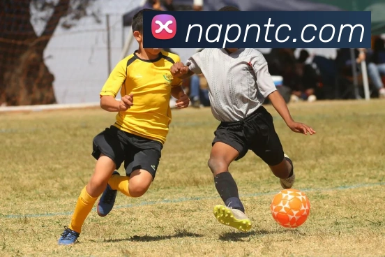 米兰app体育官方版下载平台生态图