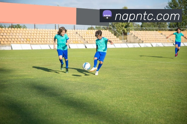 米兰app体育官方版下载APP 封面图